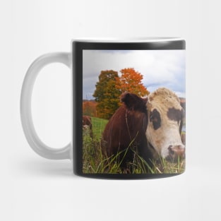 Cow chilling out at Jenne Farm Reading VT Vermont Mug